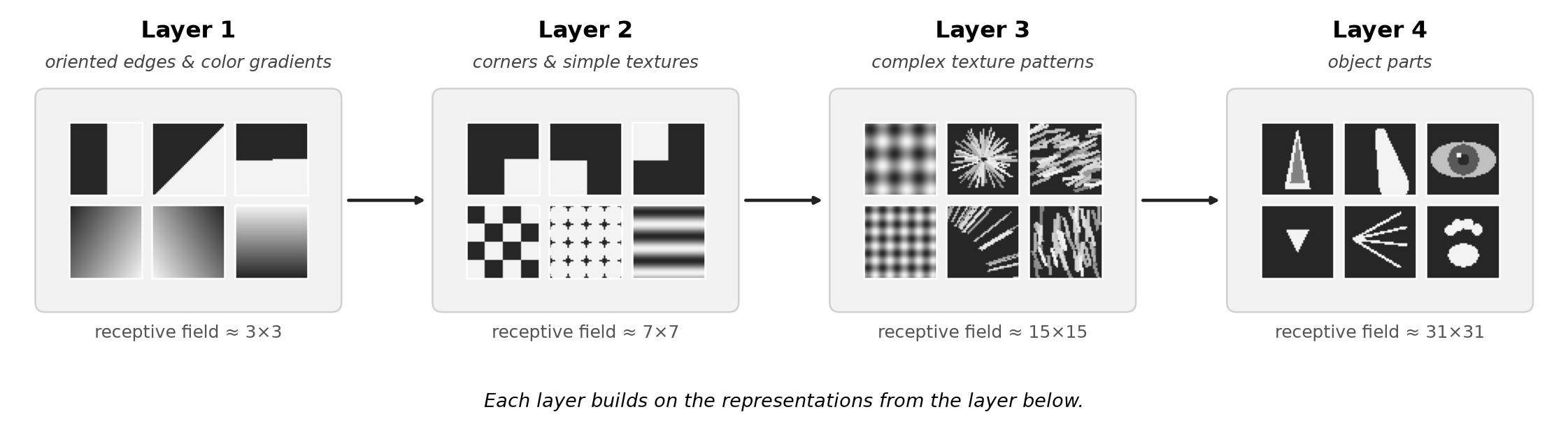 visualization of filters and activations at increasing depths in a CNN. Layer 1: oriented edges and color gradients. Layer 2: corners and simple textures. Layer 3-4: more complex texture patterns and object parts
