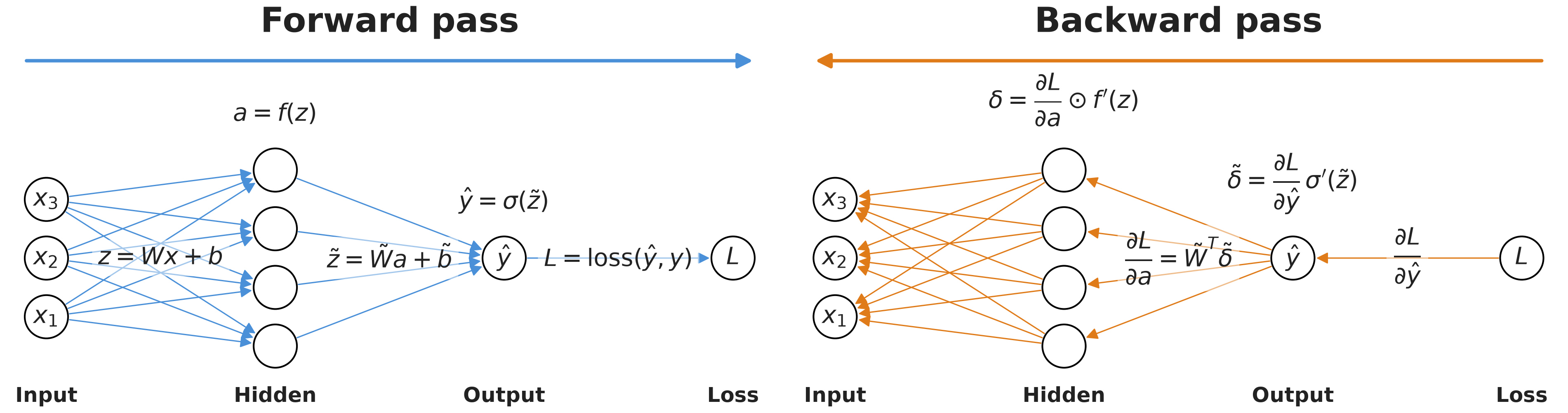 forward and backward pass, fully connected classification network