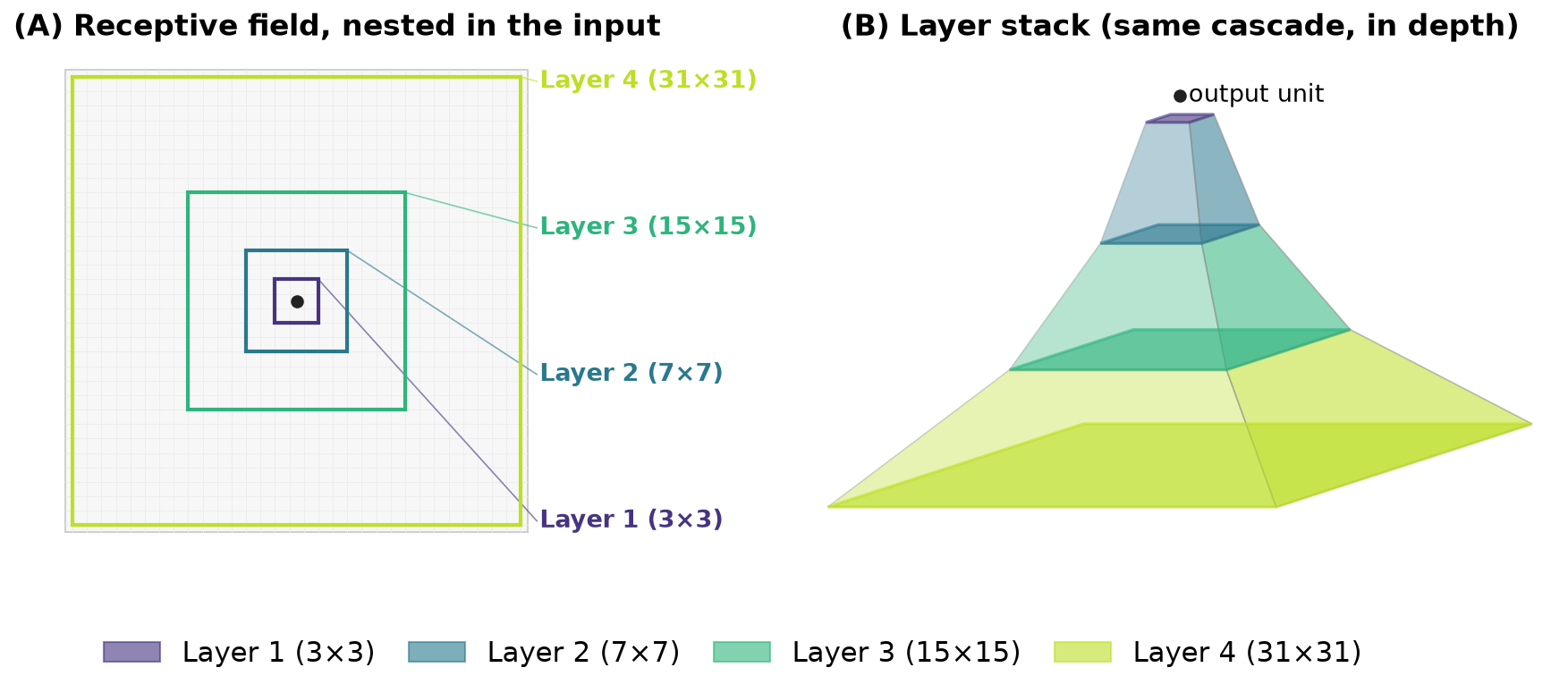 receptive field increases